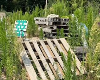 Lots of pallets available