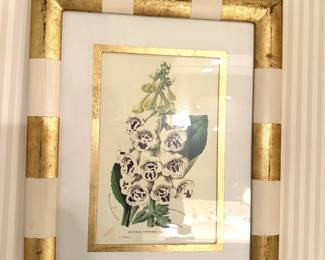 Botanical Print