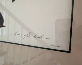 Botanical Prints