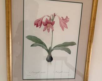 Botanical Prints