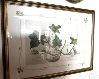 Framed Print - 24.5x17.5