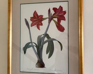 Botanical Prints21.5x28