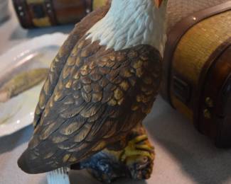 Larger Eagle