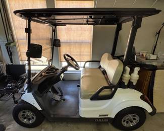 Yamaha 2020 Gas powered