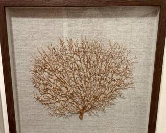 natural sea fan wall art piece displayed against a textured neutral fabric backing