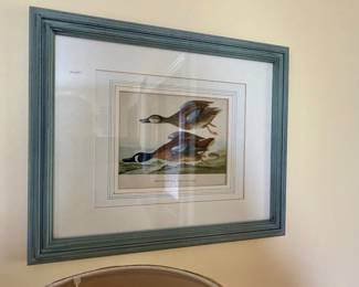framed reproduction of John James Audubon's "Blue-Winged Teal" botanical illustration