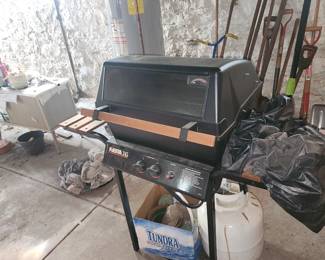 Propane and gas grill
