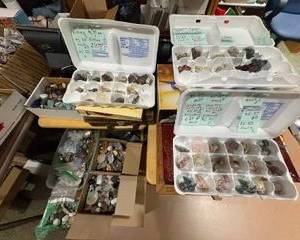 Incredible collection of rocks, minerals & treasures!