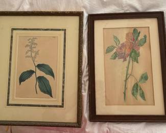 Book Plates