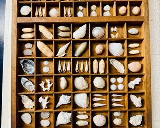 Shell collection in a printer tray
