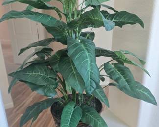 Silk floor plant