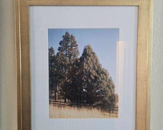 Set of 3 pics