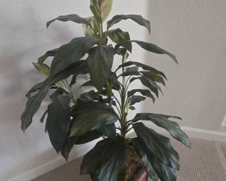 Silk floor plant