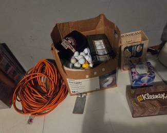 Miscellaneous garage items including golf balls, an orange extension cord, and a boxed Sunbeam appliance.