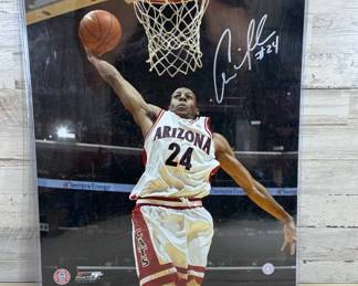 Lot #162 Andre Iguodala Signed Arizona Wildcats #24 Photo File 16x20 Photo HY045 Auth