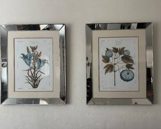 Mirror framed botanical lithographs 27 x 33”