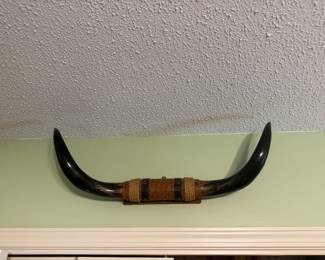 #8 - $70 - Mounted steer Bull Horns 2x1