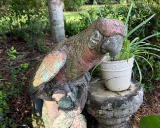 #57 - $75 - Parrot