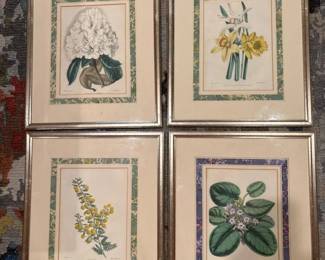 163 setoffourframedbotanicalprints