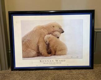 339 2875x21kennanwardwildpolarbearf