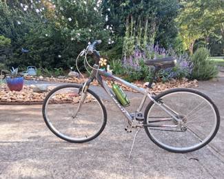 Giant 10 speed bike - good condition
