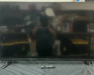 Insignia 49 With Remote