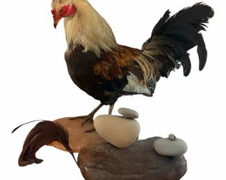 Decorative Rooster Taxidermy Matching Decor