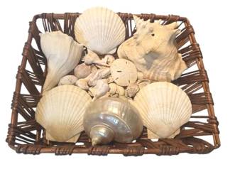 Vintage Woven Wicker Basket with Large Natural Seashell Collection