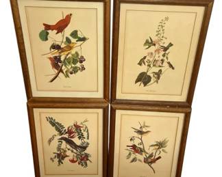 Four Framed Vintage Audubon Bird Art Prints