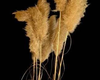 Dried Pampas Grass Decor