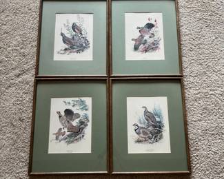 dl- Matched set of four vintage game bird lithographs by noted wildlife artist Ned Smith, each professionally framed under glass with coordinating green matting and wood-tone frames. The set includes: Mountain Quail – Oreortyx pictus Bobwhite – Colinus virginianus Ruffed Grouse – Bonasa umbellus Chukar Partridge – Alectoris graeca Each image features Smith’s detailed ornithological treatment of the birds within natural habitat. The Ned Smith name/signature appears within the printed artwork These compositions are documented as part of Ned Smith’s Field & Stream “Portfolio of Game Birds” series.