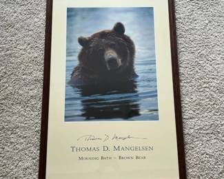 di- Framed Thomas D. Mangelsen “Morning Bath – Brown Bear” wildlife photograph featuring a large brown bear partially submerged in water at Brooks River, Katmai National Park, Alaska. Mangelsen is a nationally recognized wildlife and nature photographer known for images captured in the wild under natural conditions. The reverse retains an original Thomas D. Mangelsen’s Images of Nature informational sheet and a gallery inventory label reading: “MORN. BATH B. BEAR — SIG. SERIES” 1504F / M06395 The photograph is professionally presented beneath glass in a dark wood frame with a cream-colored surrounding presentation area bearing the artist’s name and title “Morning Bath – Brown Bear.”