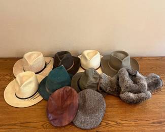 mg- This assortment includes ten distinctive hats showcasing a variety of styles such as classic Panama hats, rugged felt fedoras, a teal-colored fedora, a brown leather flat cap, a grey tweed flat cap, and a luxurious grey fur hat. Highlighting a range of colors from natural straw hues and earthy browns to deep greens and blues, these hats are crafted from premium materials including straw, felt, leather, tweed, and fur. Each piece reflects unique craftsmanship, perfect for collectors or those seeking versatile headwear options for different seasons and occasions.
