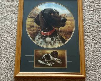 df- This framed art print showcases a 1996 painting by Larry Chandler, featuring a detailed portrait of an English Pointer dog with a red collar and tag. The piece includes two separate images: a large circular portrait of the dog's head against a rustic outdoor background, and a smaller rectangular image of the full dog lying down with a rolled item, possibly a hunting-related prop. The artwork is mounted on a deep green matte and housed in a solid oak wood frame with a natural wood grain finish. The back is covered and wired for easy hanging. This collectible print highlights the earthy color palette, fine artistic detail, and solid craftsmanship of the frame, making it ideal for dog lovers and art collectors alike.