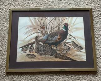 dk- Framed wildlife print depicting a ring-necked pheasant pair with their chicks nestled among tall grasses, with a butterfly above. The colorful male pheasant stands prominently behind the hen and young birds, creating a classic upland-game and sporting-art scene. Presented under glass with a deep brown mat and simple metallic-tone frame. The reverse retains older paperboard backing with hanging wire.. The artwork has a distinctly vintage sporting-art appearance and would work well in a hunting lodge, cabin, den, or traditional wildlife-art collection.