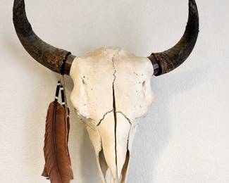 aq- This unique, genuine buffalo skull features natural weathered horns and is artistically decorated with natural feathers hanging from one side. Measuring approximately 23 inches by 21.5 inches, it presents a bold and rustic aesthetic perfect for southwestern or rustic home decor. The off-white bone contrasts beautifully with the dark horns and soft brown and black feathers, making it a standout piece for wall display.