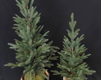 Faux Fir Miniature Trees
