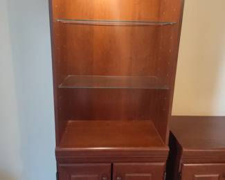 Lighted Bookcases (have 2 of these)