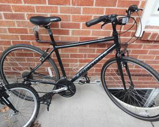 Non folding Bianchi road bike
