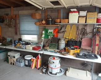 Snowshoes and sledding and other garage fun