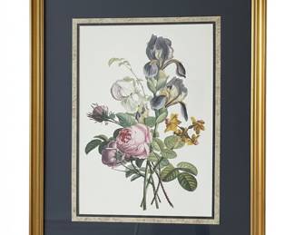 Jean-Louis Prévost Botanical Prints