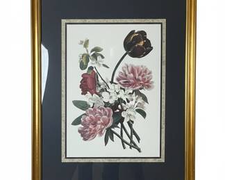 Jean-Louis Prévost Botanical Prints