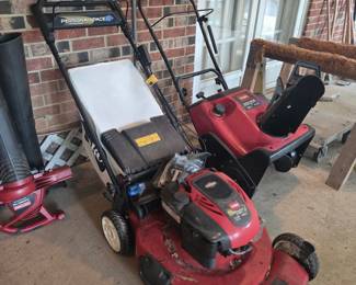 Toro Recycler Self-Propelled Lawnmower