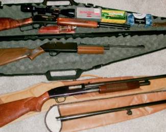 GUNS