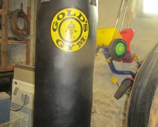 Gold Gym Punching bag