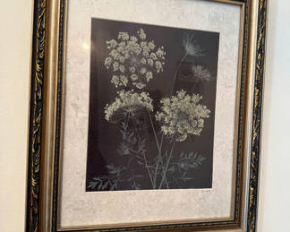 Lot 182: Framed botanical print of umbel flowers