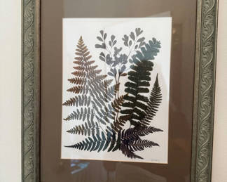 Lot 181: Framed Fern Botanical Print