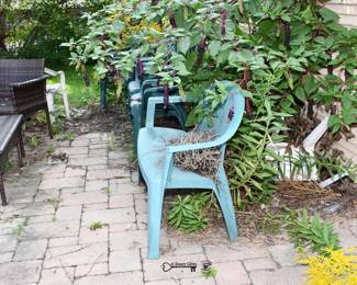888Back Yard