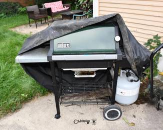 892Back Yard