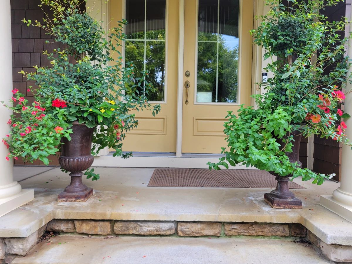 Cast Iron Urns.